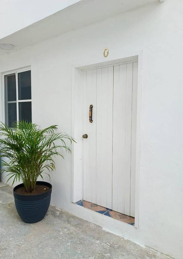 Cozy King Bed Ac Downtown Apartment Cozumel